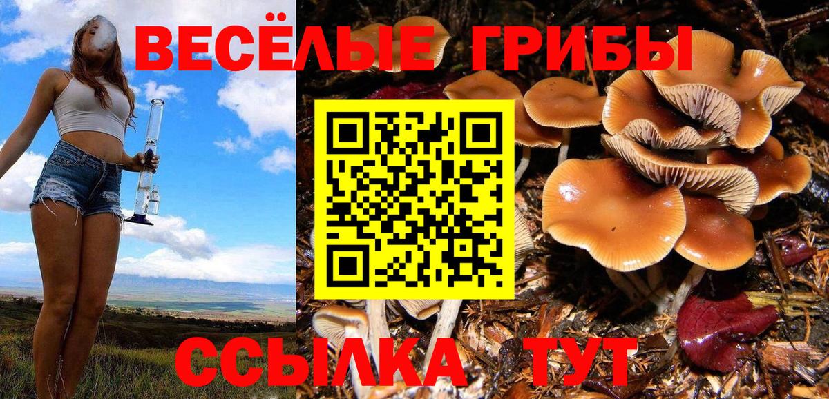 Меф мяу мяу Сердобск