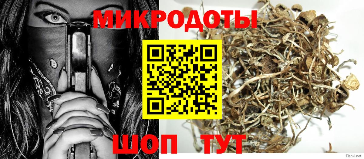 где можно купить   Вход с VPN  Сердобск  Псилоцибиновые грибы Cubensis  Галлюциногенные грибы ЛСД 