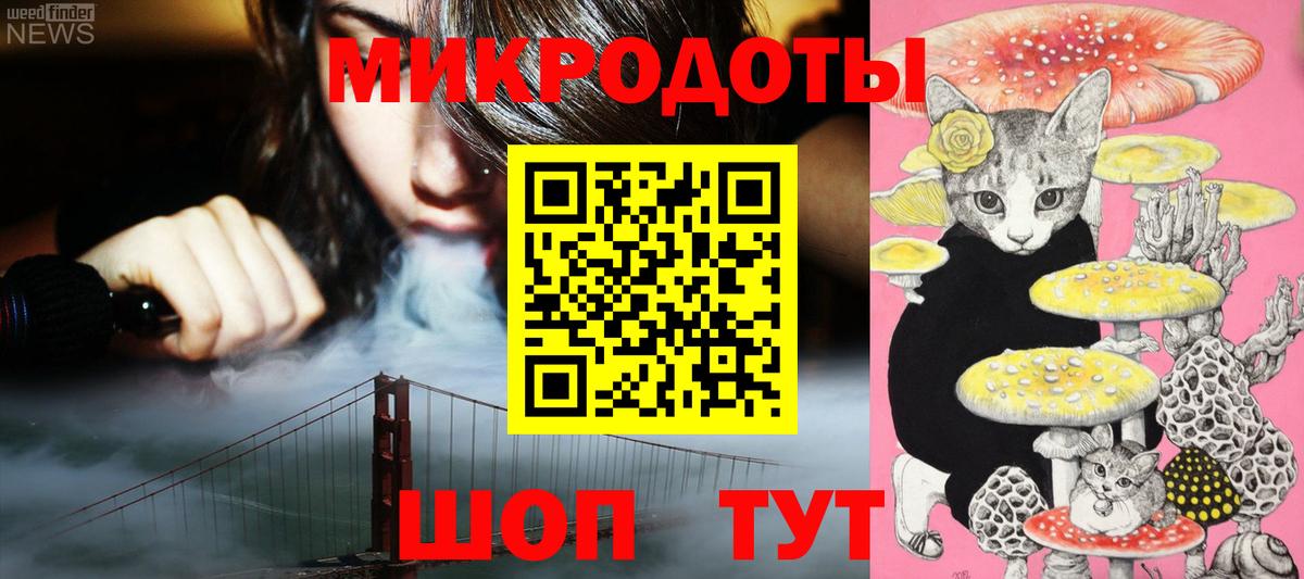 Галлюциногенные грибы Psilocybine cubensis Сердобск