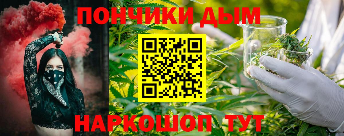 Бошки Шишки семена Сердобск